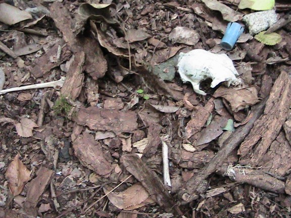 Inquietanti tracce in una villa...al centro di Roma!!!